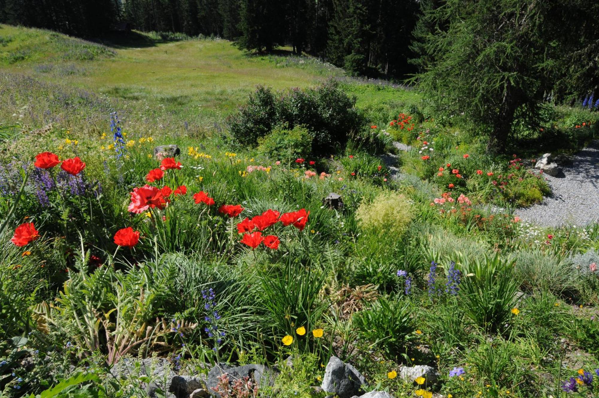 Schatzalp Hotel Davos Luaran gambar