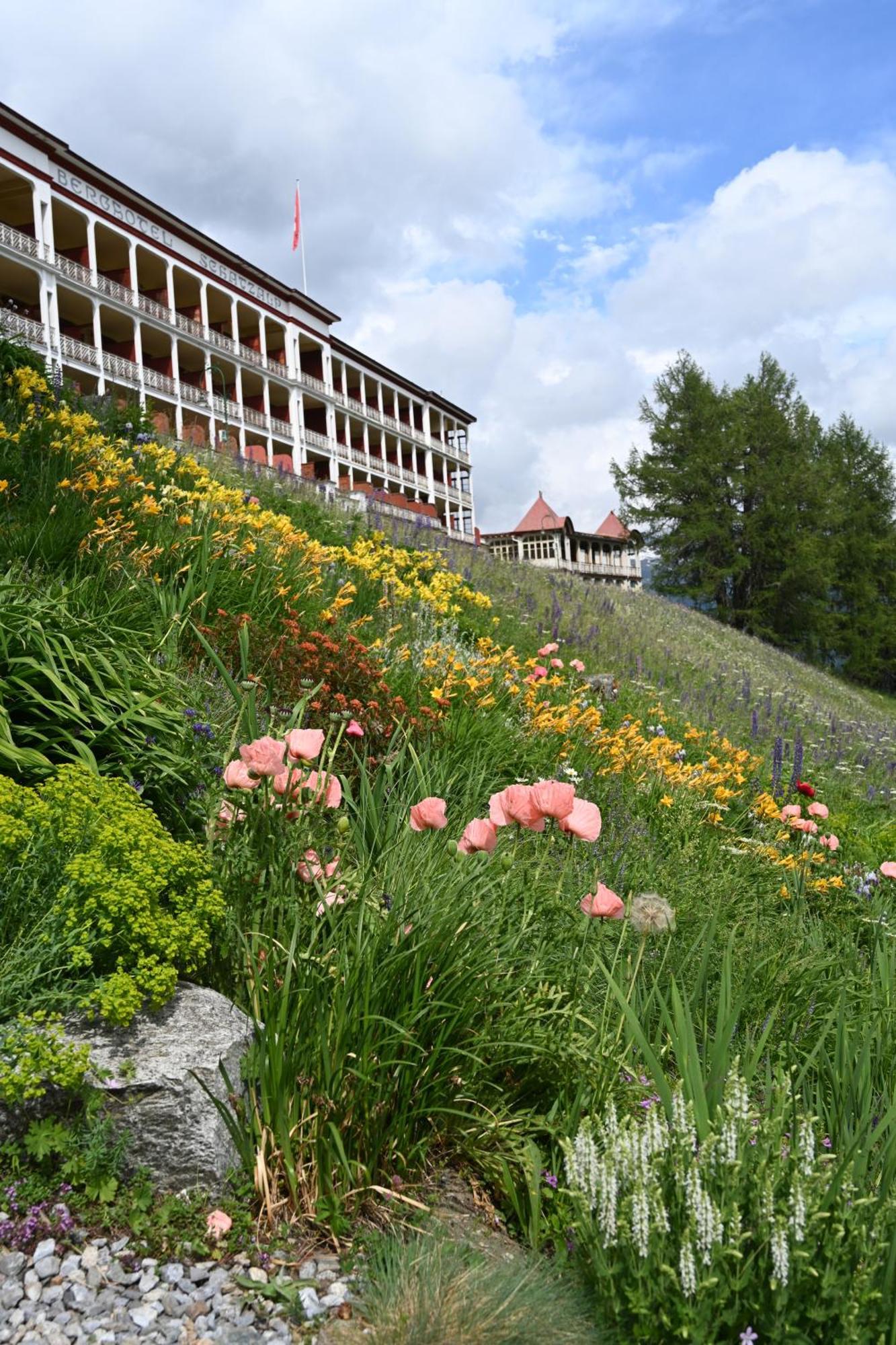 Schatzalp Hotel Davos Luaran gambar