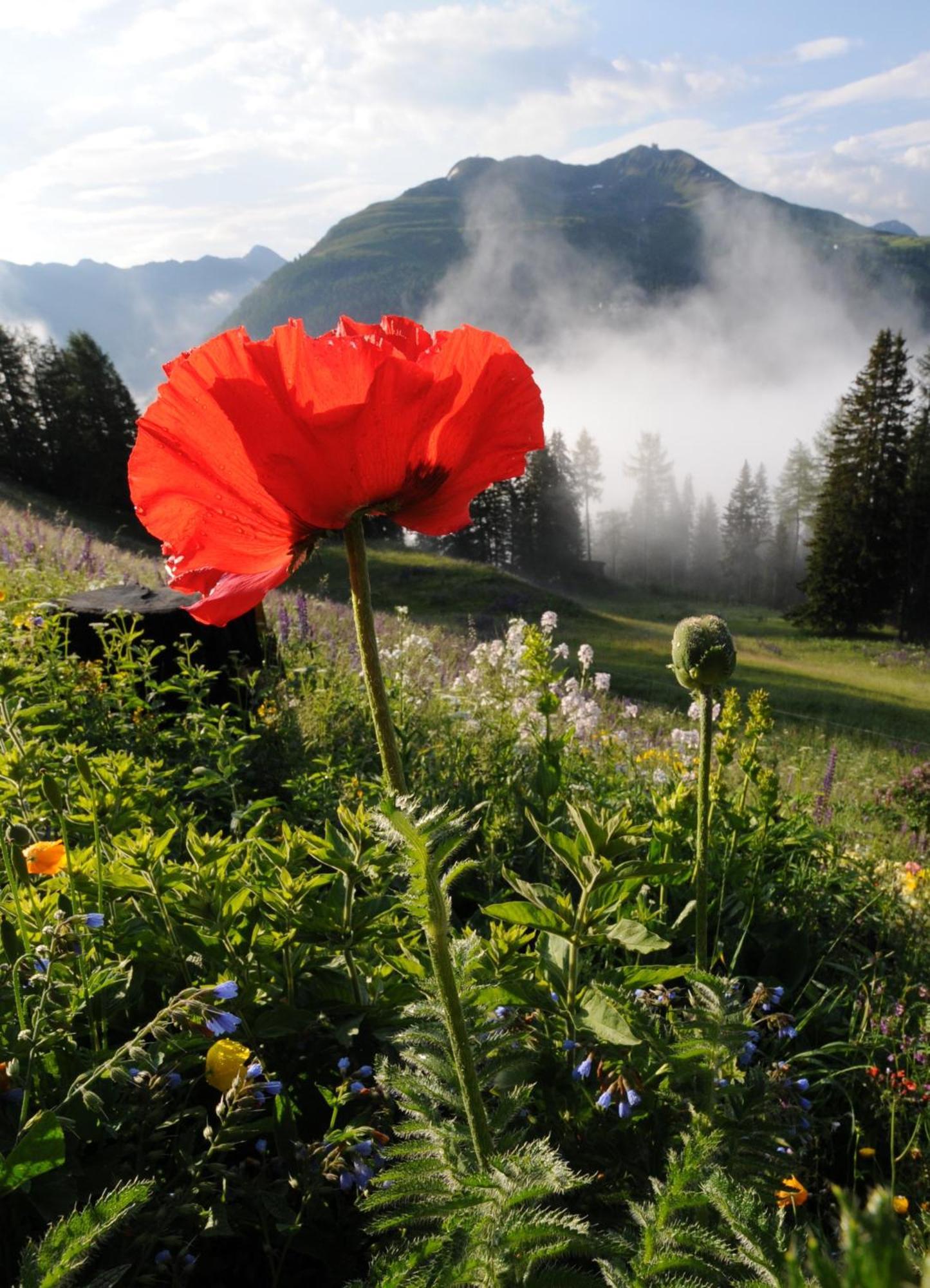 Schatzalp Hotel Davos Luaran gambar