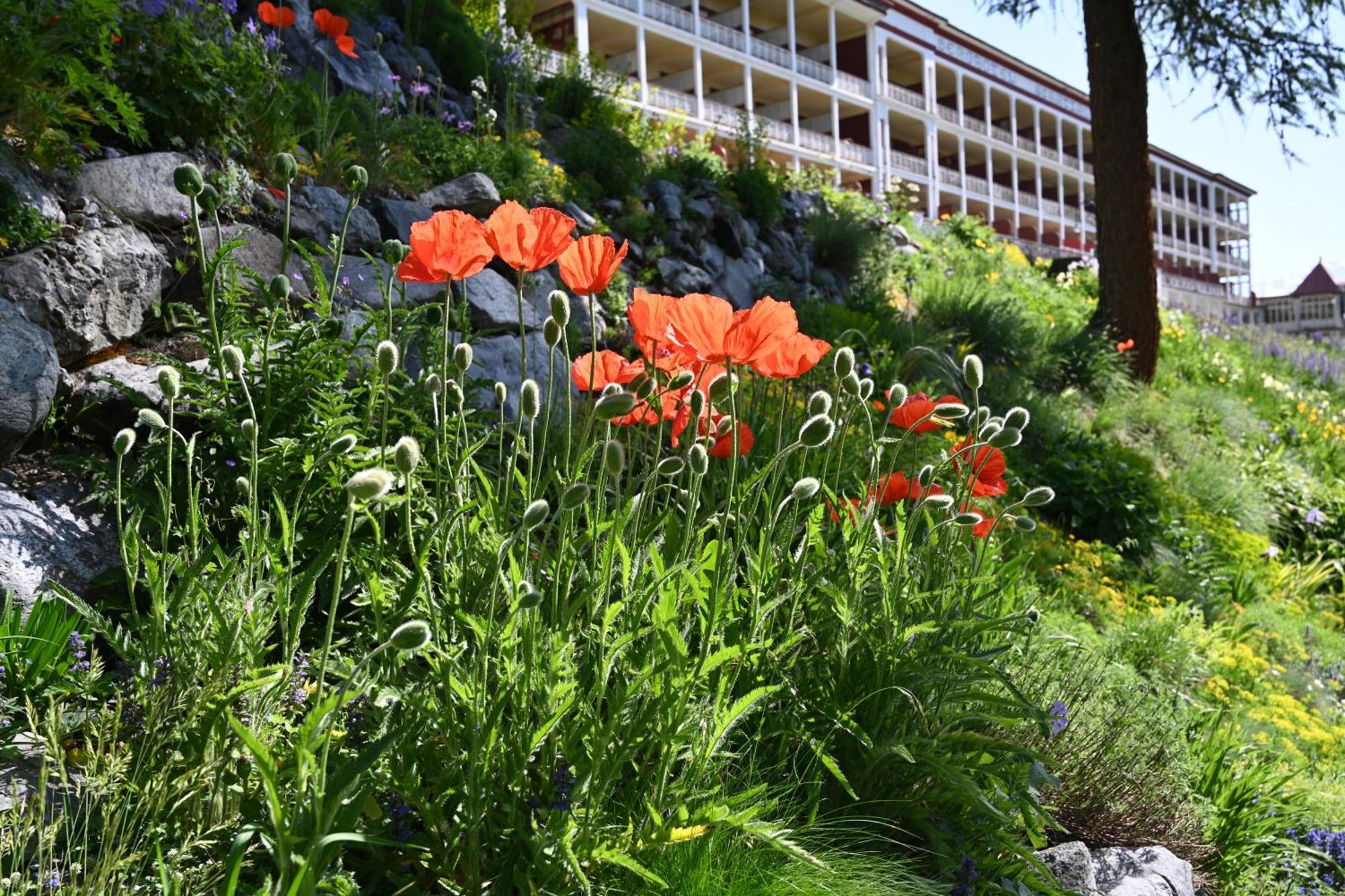 Schatzalp Hotel Davos Luaran gambar